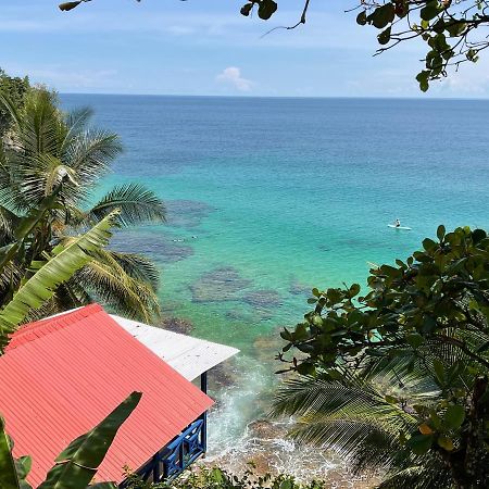 Tesoro Escondido Ecolodge Cabinas Bocas Town Dış mekan fotoğraf