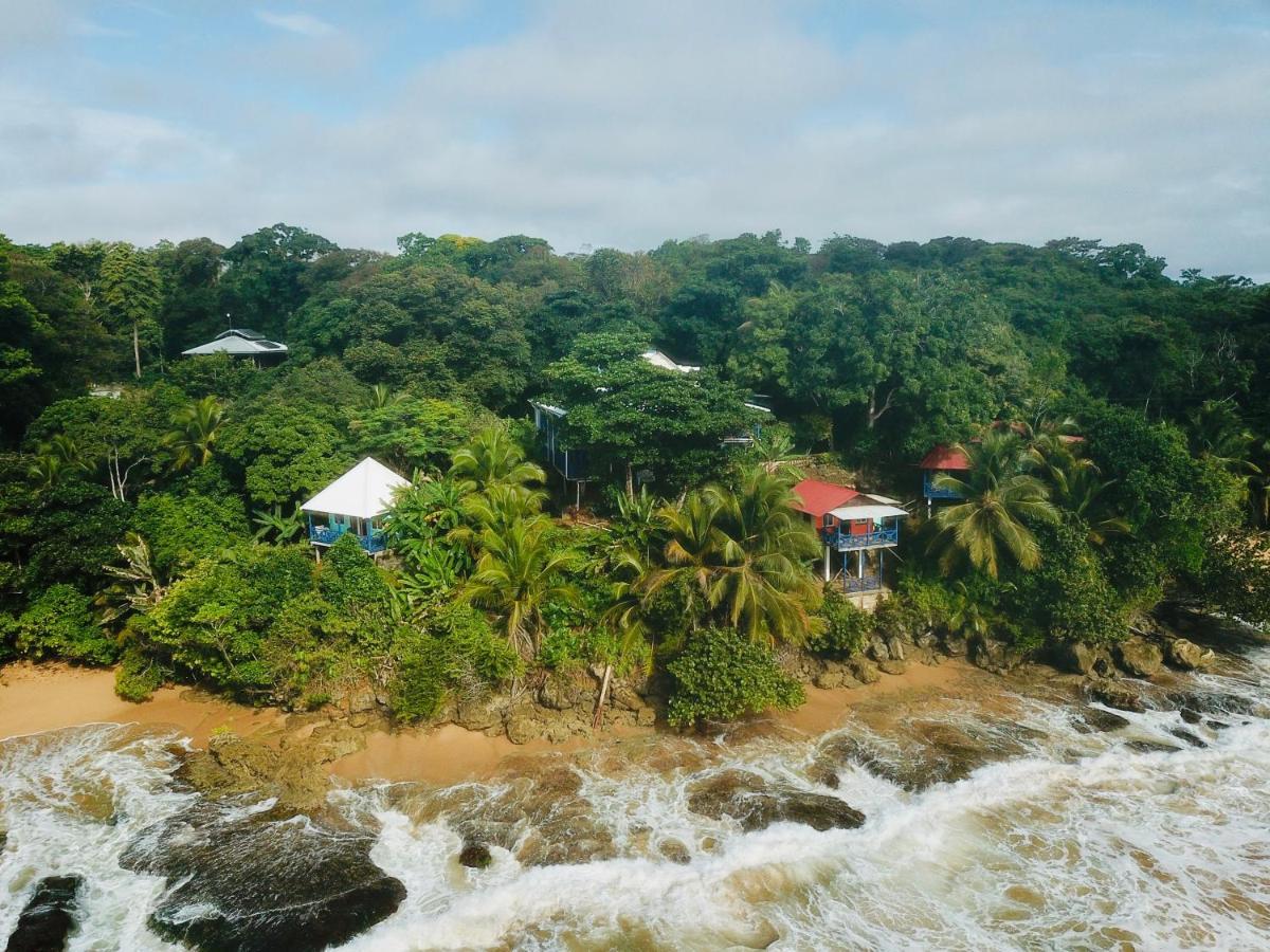 Tesoro Escondido Ecolodge Cabinas Bocas Town Dış mekan fotoğraf